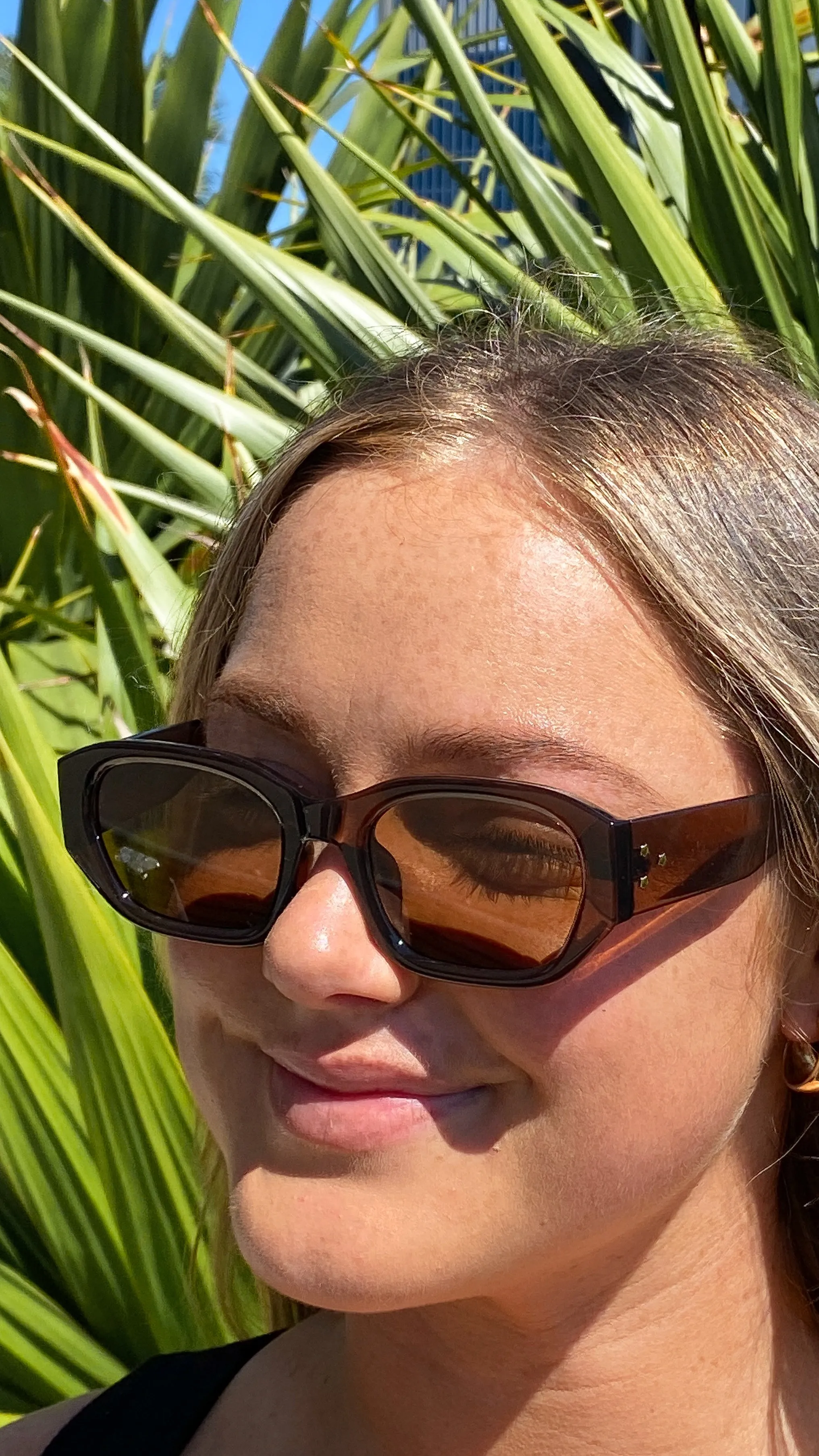 Blakely Sunglasses - Brown