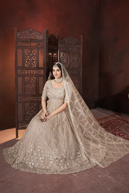 Chiku Color Embroidered Net Fabric Long Gown – Perfect for Festive Occasions