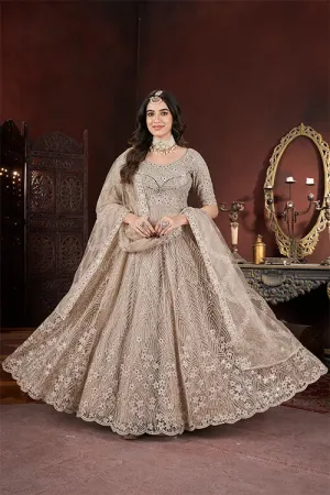 Chiku Color Embroidered Net Fabric Long Gown – Perfect for Festive Occasions
